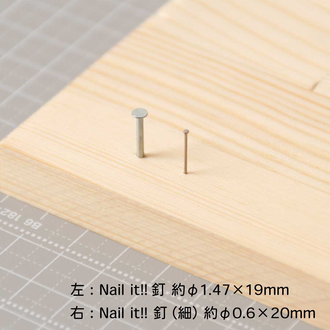 Nail it!! 釘(細) φ0.6×20mm 袋入り(全2種)